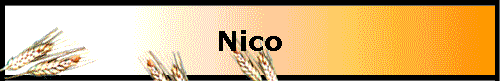  Nico 