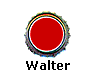  Walter 